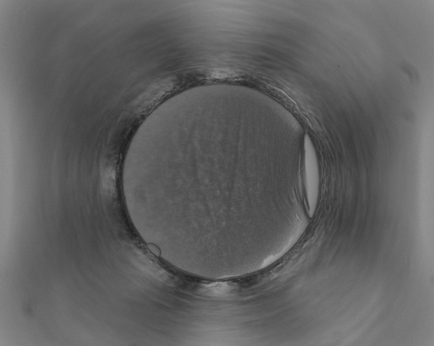 X0000111200269200908121117