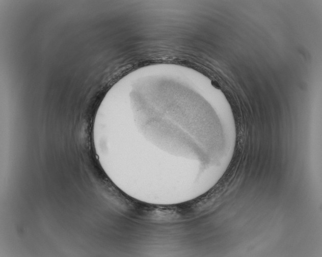 X0000111200270200908121117