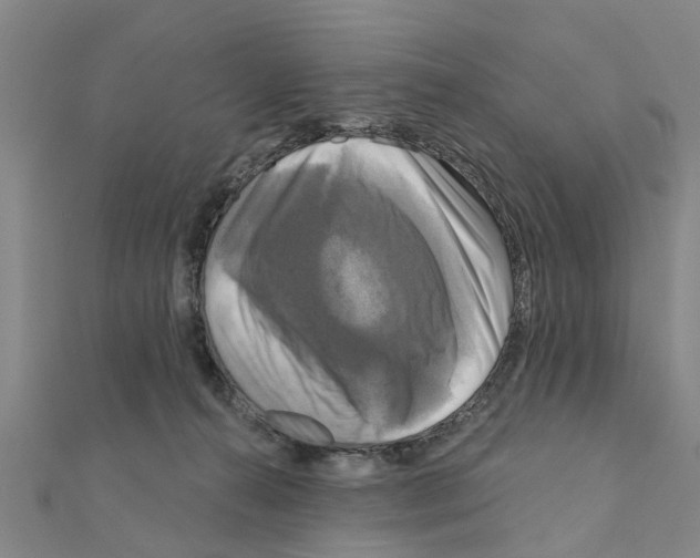 X0000111200272200908121117