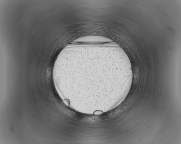 X0000111200278200908121117