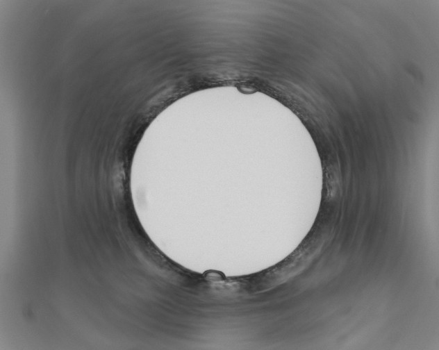 X0000111200279200908121117