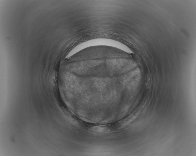 X0000111200280200908121117