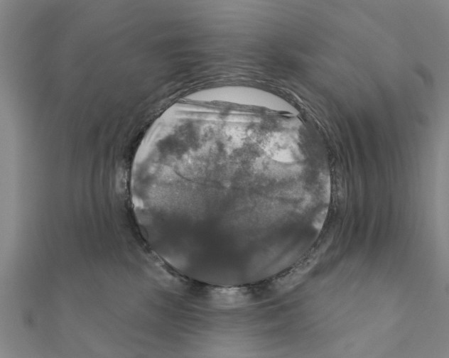 X0000111200281200908121117