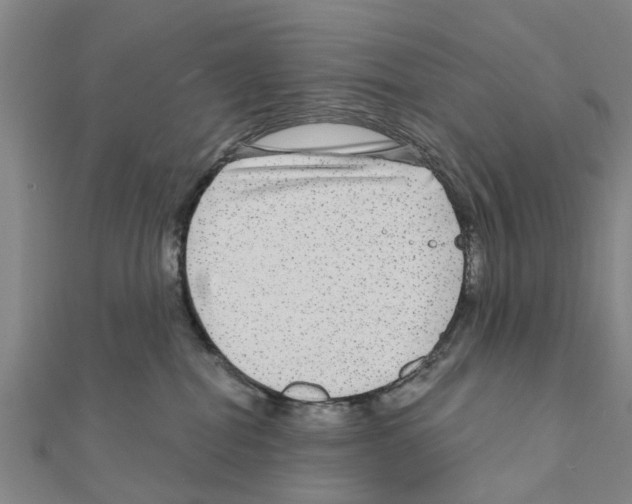 X0000111200282200908121117