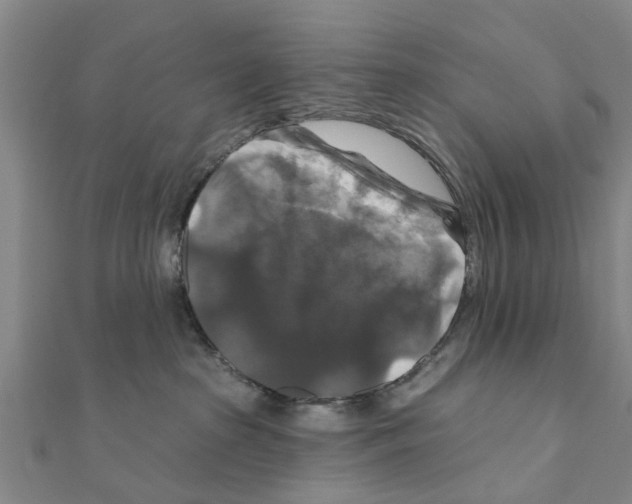 X0000111200285200908121117