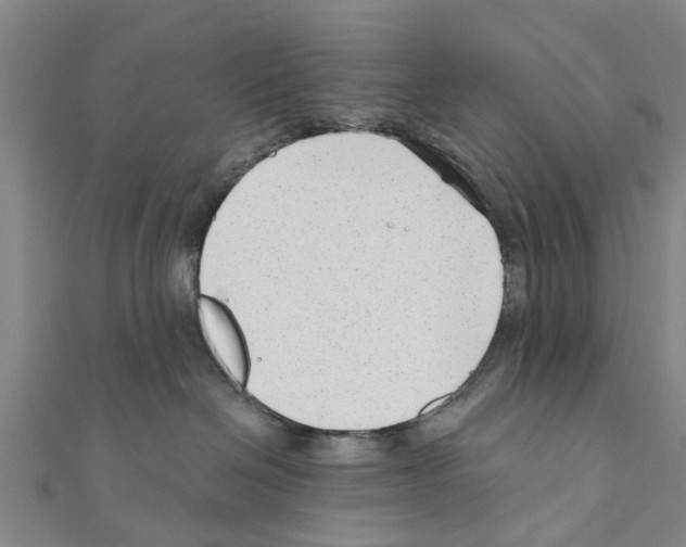 X0000111200286200908121117