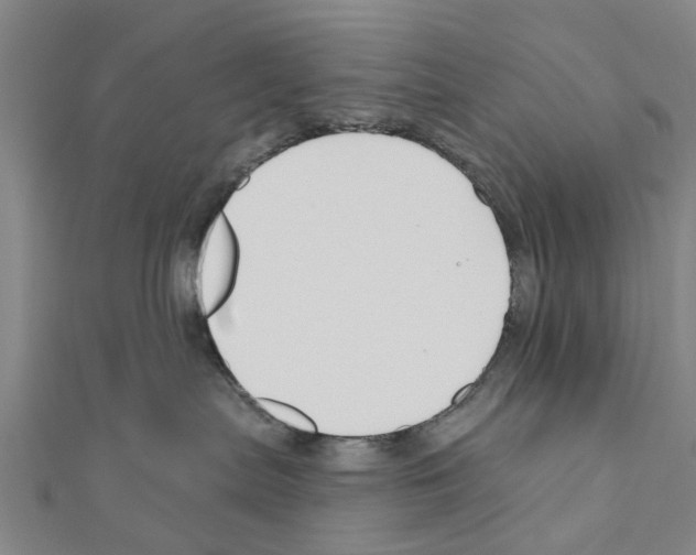 X0000111200287200908121117