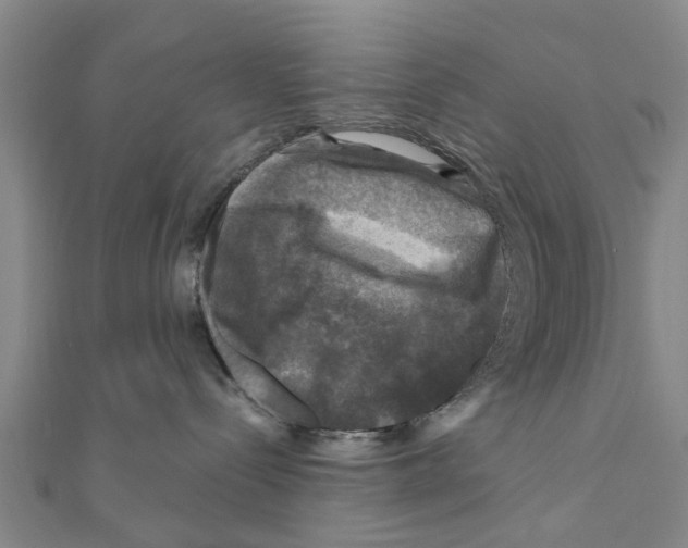 X0000111200288200908121117