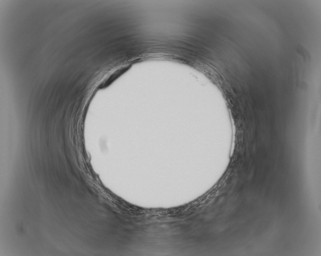 X0000111200289200908121116