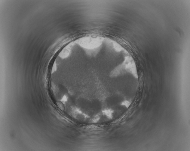 X0000111200290200908121116