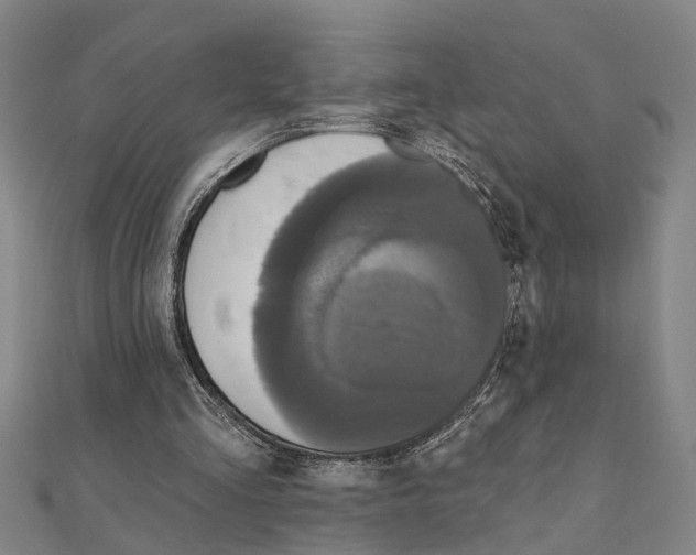 X0000111200293200908121116