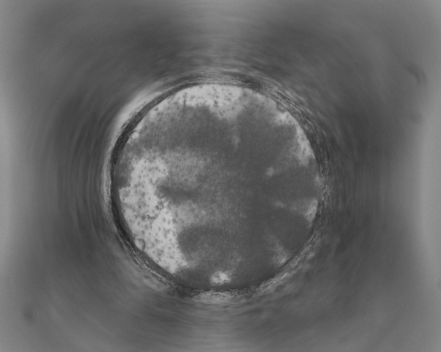 X0000111200294200908121116