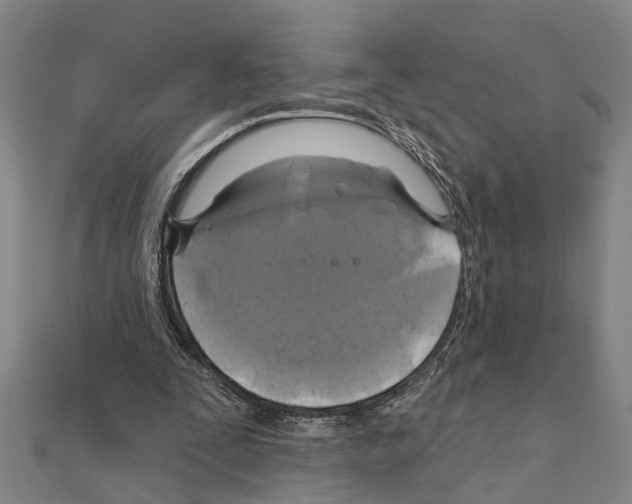 X0000111200295200908121116