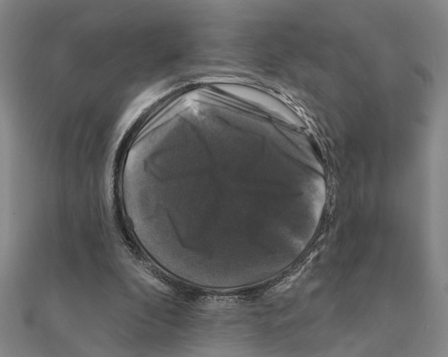 X0000111200296200908121116