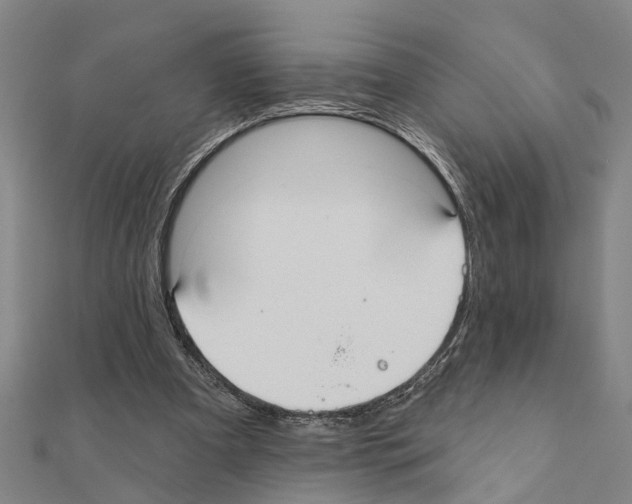 X0000111200297200908121116