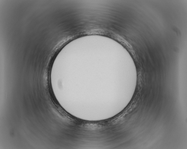 X0000111200298200908121116