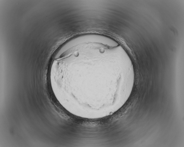 X0000111200299200908121116