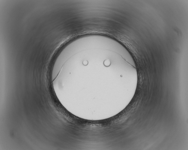 X0000111200304200908121116