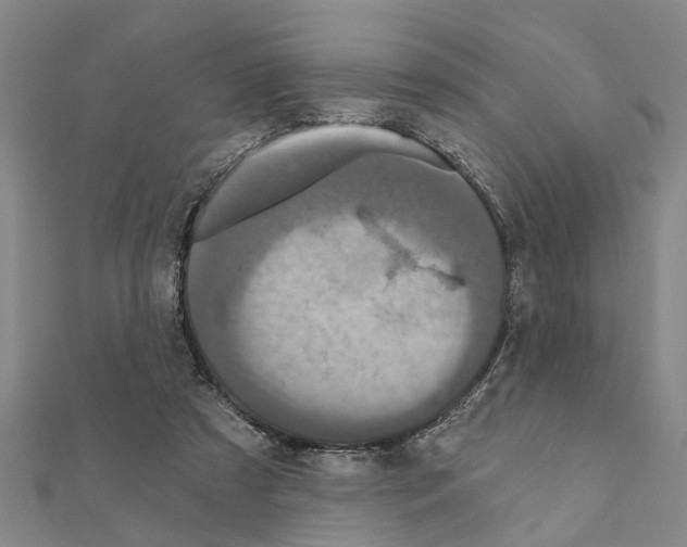 X0000111200305200908121116