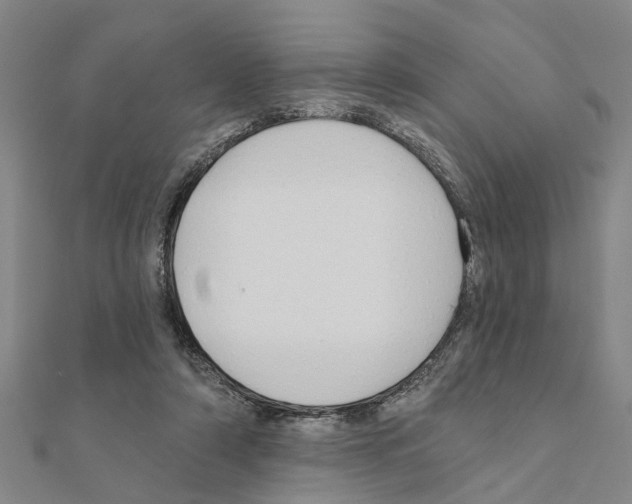 X0000111200306200908121116