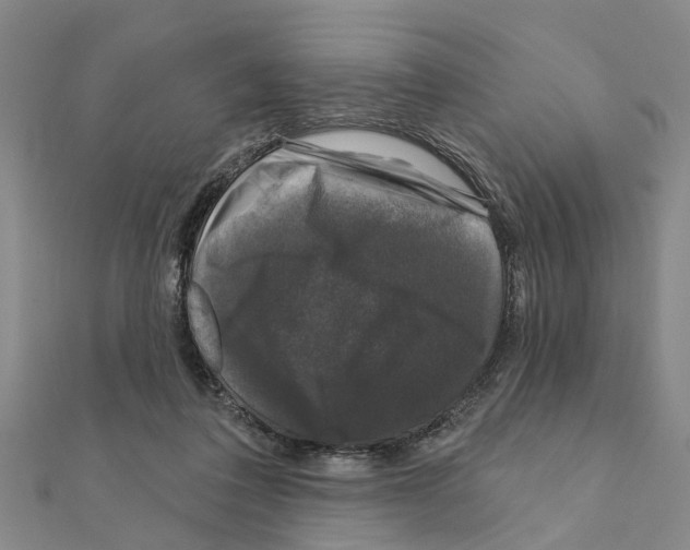 X0000111200308200908121116