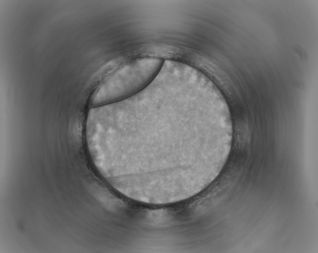 X0000111200309200908121116