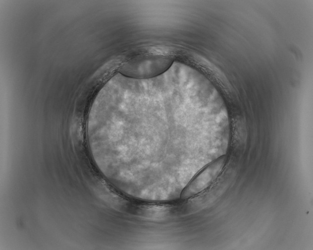 X0000111200313200908121116