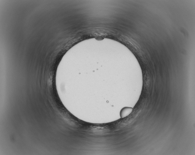 X0000111200315200908121116