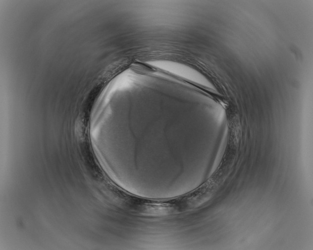 X0000111200316200908121116