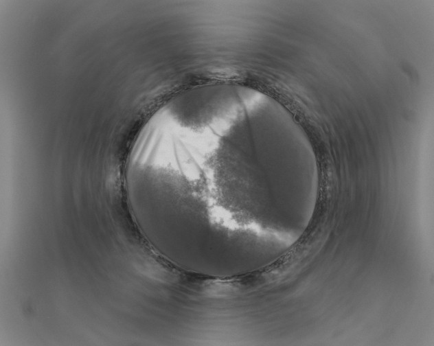 X0000111200320200908121116