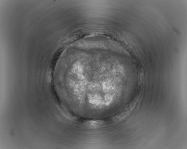 X0000111200323200908121116