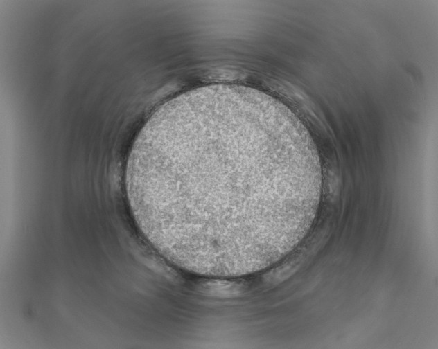 X0000111200326200908121116