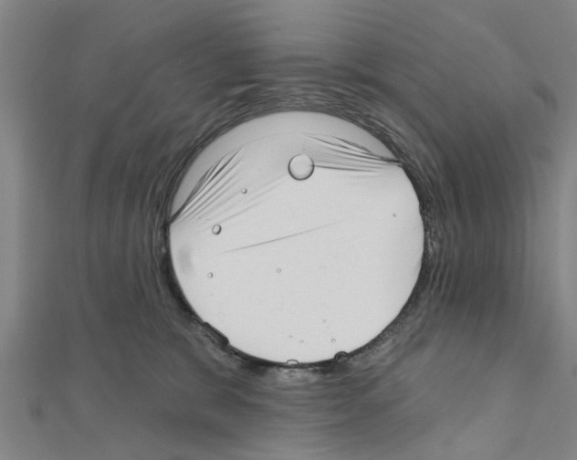 X0000111200327200908121116