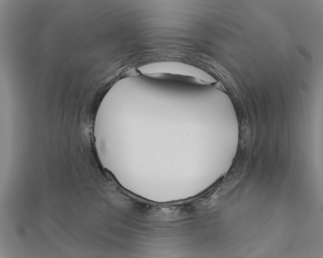 X0000111200329200908121116