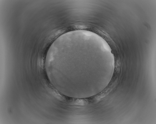 X0000111200330200908121116