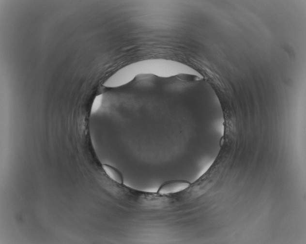 X0000111200331200908121116