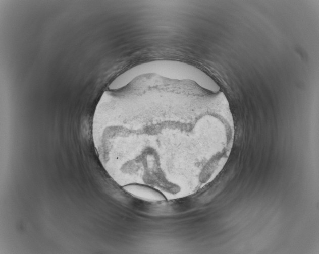 X0000111200335200908121116