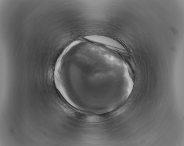 X0000111200336200908121116