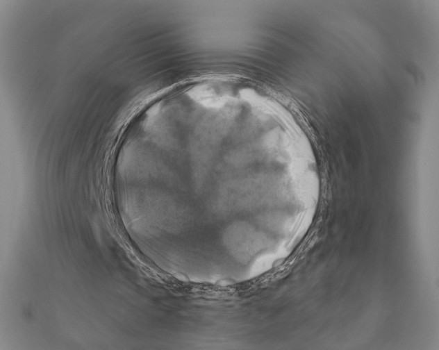 X0000111200337200908121115