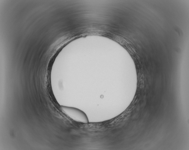 X0000111200338200908121115