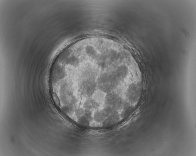 X0000111200341200908121115