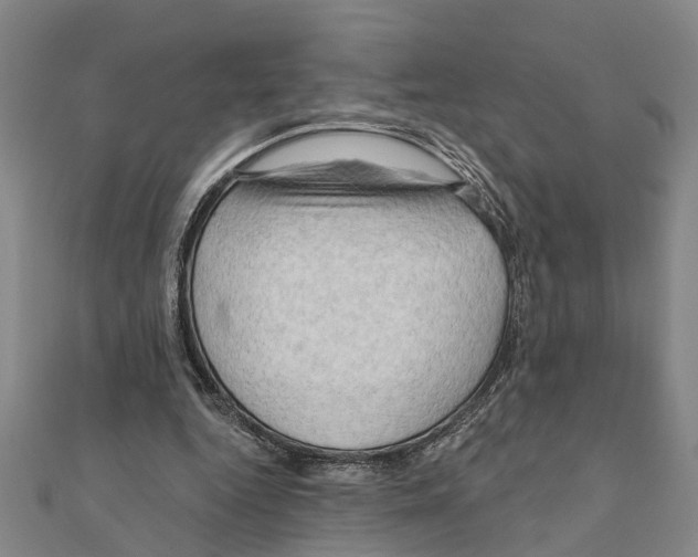 X0000111200344200908121115