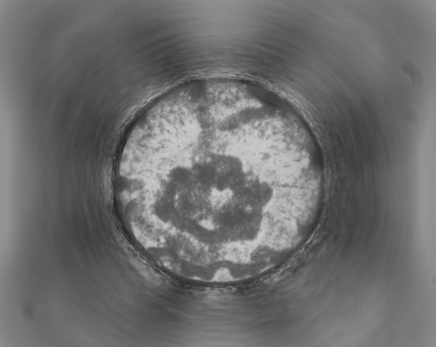 X0000111200345200908121115