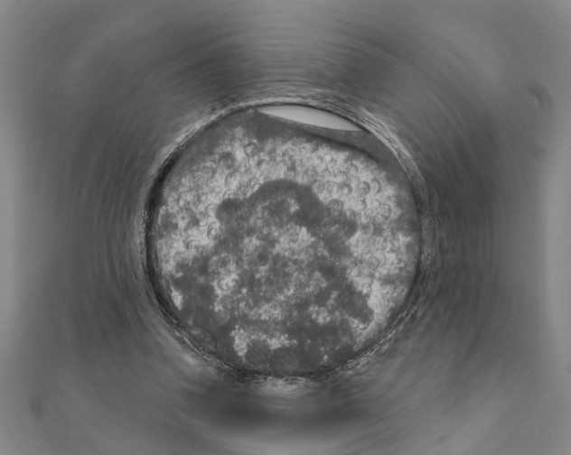 X0000111200346200908121115