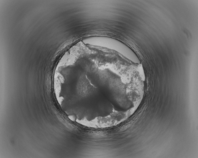 X0000111200349200908121115