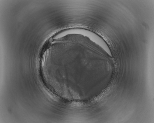 X0000111200350200908121115