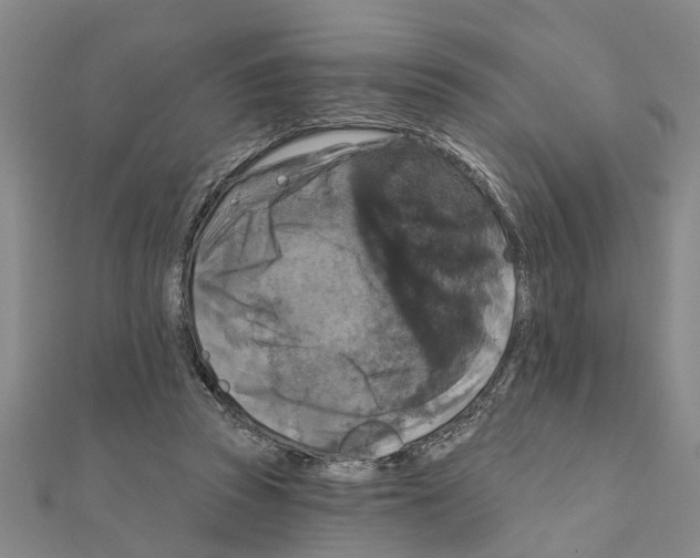 X0000111200353200908121115