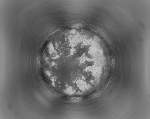 X0000111200363200908121115