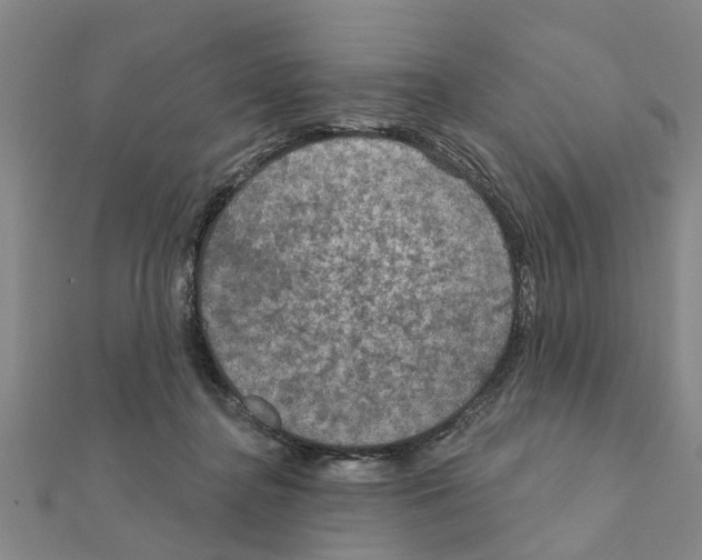 X0000111200364200908121115