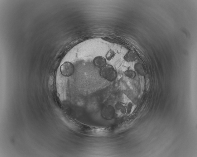 X0000111200365200908121115